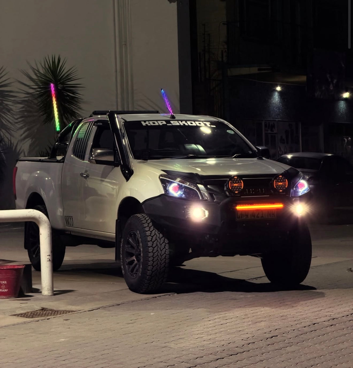 LED Whiplights (N)