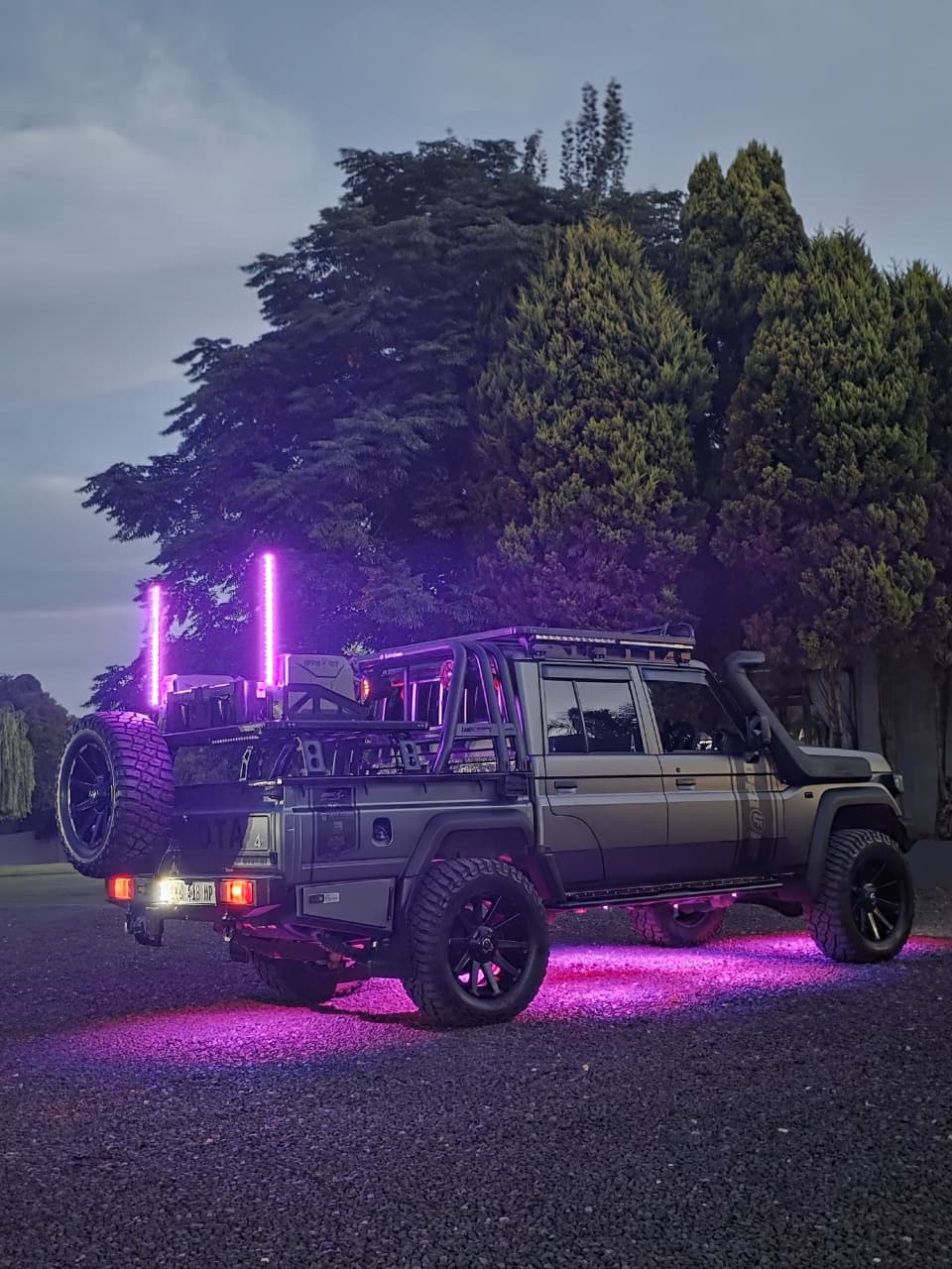 LED Whiplights