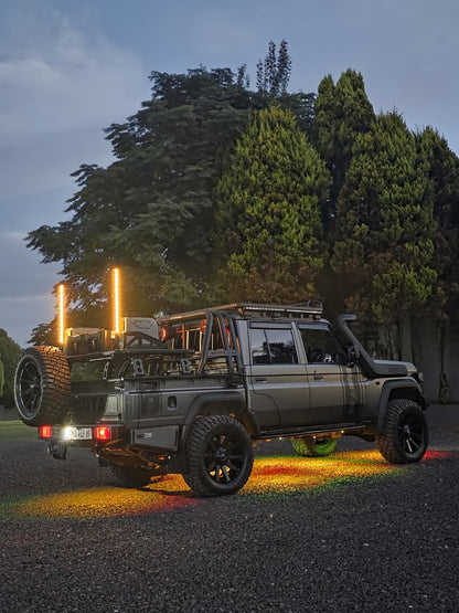 LED Whiplights